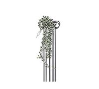 Europalms - Caja Fuerte Holandesa, 100 cm, Multicolor, Talla única