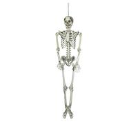 EUROPALMS Esqueleto de Halloween, 150 cm, colgante de esqueleto