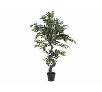Europalms Ficus - Árbol de bosque, 110 cm