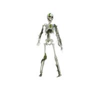 EUROPALMS Halloween Skelteton with Moss, 40 cm