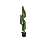 Europalms Mexikanischer Kaktus, Kunstpflanze, grün, 123cm (82801072) Marca