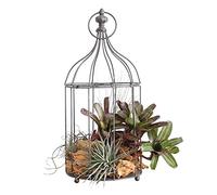 European Iron Birdcage Decor Tabletop Garden Photo Props Wedding Bird Cage Window Fleshy Flower Decoration in a Cage
