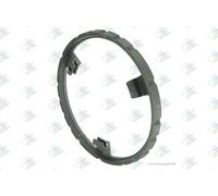 Anillo sincronizador, cambio manual EURORICAMBI 60531765