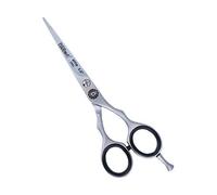 Eurostil Tijera Profesional Acero Inoxidable 5'5 1ud