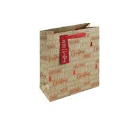 Eurowrap Bolsa de regalo de papel kraft marrón con etiqueta de regalo, tamaño mediano, respetuoso con el medio ambiente, totalmente reciclable, bolsa de regalo para Navidad, envoltura de regalo,