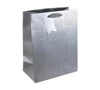 Eurowrap - Bolsa de Regalo Diseño Degradado - Pack de 6 (XL) (Plateado)