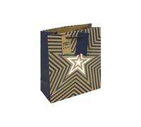 Eurowrap Bolsa de regalo mediana de papel kraft marrón con estrellas azules, bolsa de papel reciclable con asa de cuerda, papel de regalo ecológico para el día del padre o cumpleaños