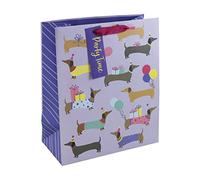 Eurowrap Bonita bolsa de regalo de perro salchicha con etiqueta de regalo, feliz cumpleaños, ocasión para niños, grande