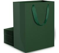 EUSOAR Bolsas Regalo Verde - 20 Pack Bolsa Papel Kraft Verde Oscuro Pequeña S 15x6x20 cm - 230GSM Bolsas de Papel con Asas - Gift Bags para Compartir de Hombre - Bolsitas Regalo Compras