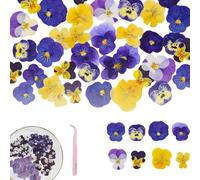 EUYKQNOI 40 Piezas 8 Tipos de Flores Naturales secas, prensadas,para decoración de Pasteles - Mezcla de Viola Tricolor para cócteles, Manualidades DIY