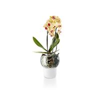 Eva Solo Maceta para orquídeas con riego automático, Cristal, Nailon, 15 cm de diámetro