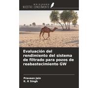 Evaluación del rendimiento del sistema de filtrado para pozos de reabastecimiento GW