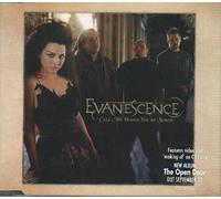 Evanescence - Call Me When You're Sober