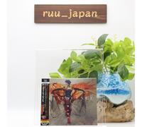 Evanescence SELLADO NUEVO SHM-CD + DVD (R-All) "Synthesis Deluxe Ed." Japón N...