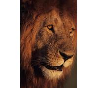 Evangelio de Emmanuel: Jesús es el Cordero de Dios