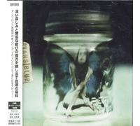 Evans Blue - Melody & Energetic Nature of V