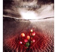 Evans, Orrin - Meant To Shine