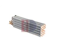 Evaporador, aire acondicionado AKS DASIS 821887N