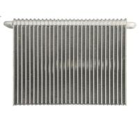 Evaporador, aire acondicionado HIGHWAY AUTOMOTIVE 41057002 para FM12 12.13 1998-