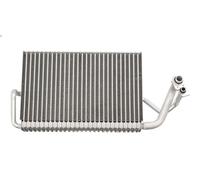 Evaporador, aire acondicionado NRF 36121 para CLS (C219) 3 2009-2010