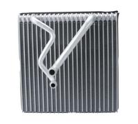 BOSCH Evaporador, aire acondicionado para AUDI: TT, A3, S3, RS3 & VOLKSWAGEN: Golf Cabriolet, Tiguan, Eos, Golf, Jetta, Sharan (Ref: 1 986 AD4 001)