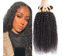 Evaxilc Extensiones de cabello humano rizado brasileño Remy Virgin Humano, extensiones de cabello humano #1B Natural Black 3 paquetes total 300 g 300 g 300 g