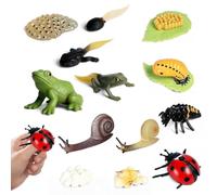 EVBOTGEE Juego de figuras de ciclo de vida de 13 piezas, modelos de insectos y animales, kit educativo para la escuela, pedagogía con 3 estadios, hogar y proyectos de naturaleza