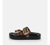 Evelyn Ari brown 36