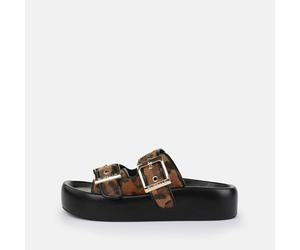 Evelyn Ari brown 42
