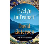 Evelyn in Transit: A Novel