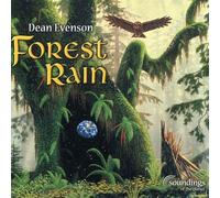 Evenson Dean - Forest Rain