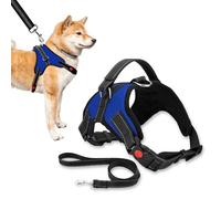 Event Decor Shop Arnés sin tirones con correa para perros pequeños, ajustable, transpirable y reflectante, chaleco con asa, resistente, para entrenamiento y pasear, pequeño, azul rey