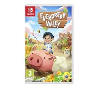 Everdream Valley Nintendo Switch