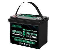 EverExceed 12V 100 Ah Bateria Lifepo4 con BMS Integrado de 100A, Bateria Litio 1280 Wh con Protección Contra Bajas Temperaturas, Ideal para Yates, Embarcaciones, Barcos