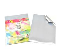 Evergreen Goods 10 Etiquetas Adhesivas Plateadas A4 en Vinilo Metálico Impermeable | Papel Adhesivo Plateado Imprimible Inyección de Tinta y Láser | Autoadhesivas para Cricut (plata cepillada)