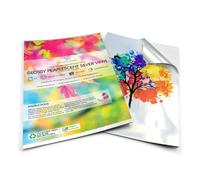 Evergreen Goods A4 10 Hojas | Hojas De Papel Vinílico Autoadhesivo Plateado Perlado Brillante | Inyección De Tinta Y Láser | Adhesivo Gráfico Hd | Usos Múltiples Para El Hogar Y La Oficina