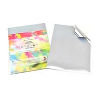 Evergreen Goods - Papel adhesivo de vinilo brillante tamaño A4, color plateado cepillado, 20 hojas