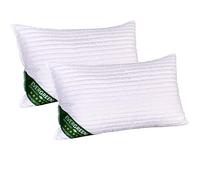 EVERGREENWEB - Pack de 2 Almohadas para Cama 40x70 cm en Espuma Viscoelástica con aceites Esenciales de Soja, para hogar o Exterior, Altura 14 cm - Acolchado Suave como Pluma, Lavable A MÁQUINA