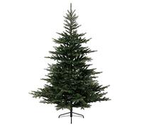 Everlands 1038 Puntas de árbol de Navidad de Aspecto Real de Abeto Grandis Verde de 5 pies