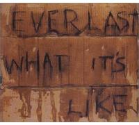 Everlast - What It's Like / 7 Years