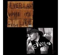 Everlast - What It's Like / Ends - Vinilo 7" Sencillo - Importación USA - Victrola