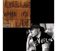 Everlast - What It's Like / Ends - Vinilo 7" Sencillo - Importación USA - Victrola