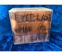 Everlast - What's It Like