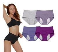 Eversure Pantie for Ladies Leak Proof Protective Panties, Plus Size Full Coverage Panties (4Pcs-C, XXS)