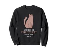 Every Good & Purrfect (Gift) is from Above - James 1:17 Cat Sudadera