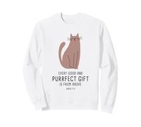 Every Good & Purrfect (Gift) is from Above - James 1:17 Cat Sudadera