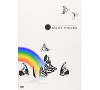 Every Little Thing - 2003 Tour Many Pieces [Alemania] [DVD]