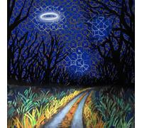 Every Night Is a Beautiful Night [Vinilo]