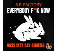 Everybody Fuck Now (Bass City DJs Remixes)
