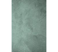 Everyday journal Planner: Minimal Aesthetic Planner for Everyday Reflections: Track Your Mood, Weather & Thoughts Each Day